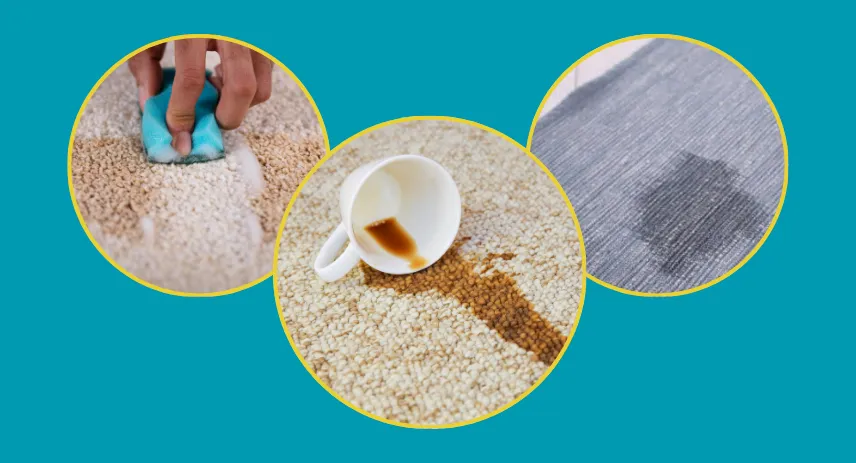 Spill Emergency: How to Get Coffee Out of Rug Completely